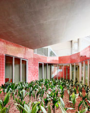 Edificio Collage