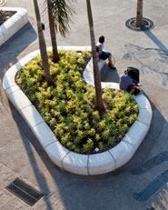 Malecon, Puerto Vallarta