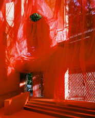 Red Pública