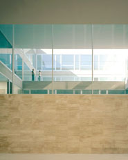Instituto Andaluz de Biotecnología