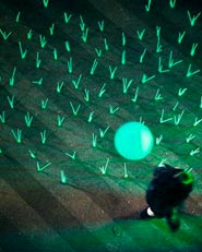 Mutant weeds