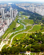 Central Park for Singapore