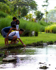 Central Park for Singapore
