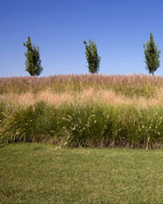 Flat Land