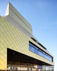 The Hive