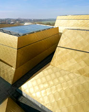 The Hive