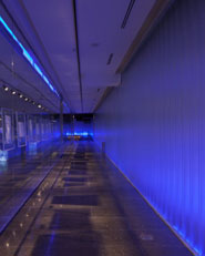 Museo Antiquarium