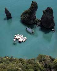 Archipelago Cinema