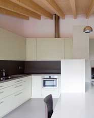 HOUSE IN THE ROOFS
