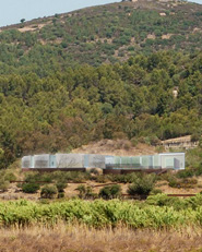 "DOSA" Museo nel futuro parco archeologico- fluviale di Sarcapos.