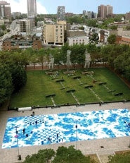 The pool