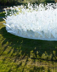 Paper Garden