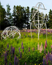 Itinerant Pods