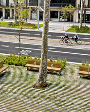 Remodelling of Passeig de St Joan boulevard