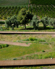 Castello di Silves