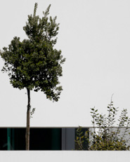 Aradas House