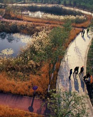 Tianjin Qiaoyuan Wetland Park
