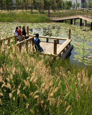 Tianjin Qiaoyuan Wetland Park