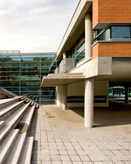 Complesso Scolastico Integrato, Auditorium e Palestra