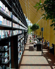 Book Mountain and Library Quarter Spijkenisse