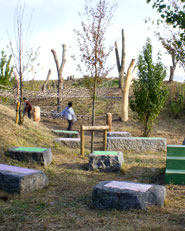 Wild Kingdom playspace