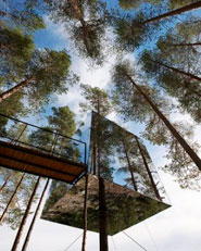 Tree hotel in Harads
