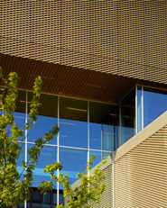 The Library