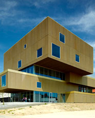 The Library