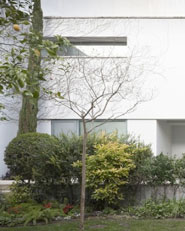 Vivienda en el casco histórico de Sevilla