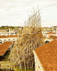 Big Bambú
