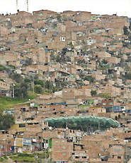 El Bosque de la Esperanza