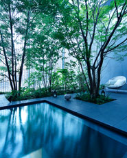 Optical Glass House