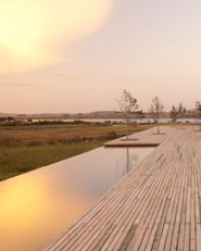 Punta House