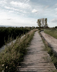 Renaturation de la Seymaz