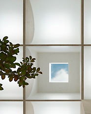 Daylight House