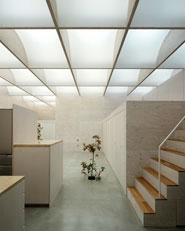 Daylight House