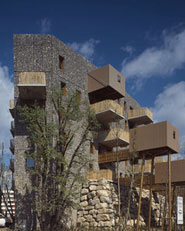The Building that Grows
