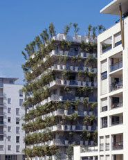 Flower Tower