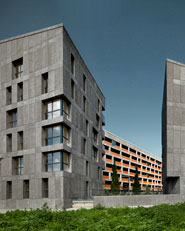 Social Housing CasaNova