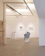 Lehmann Maupin Gallery