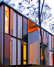 Camouflage House