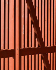 Proyecto Roble