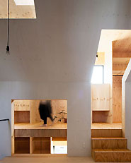 Ant House