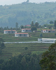 Butaro Doctors Housing
