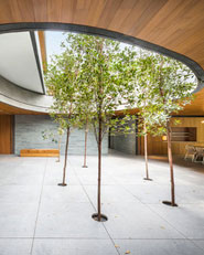Wall House
