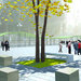 Vista-bosco-mercato_low_thumb