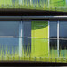 Lee-frontal-nachbar-xl-rs_thumb