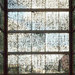 0021_foto2_245-05_thumb