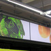 Scaffale2_thumb