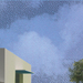 Vista_5_copy_thumb